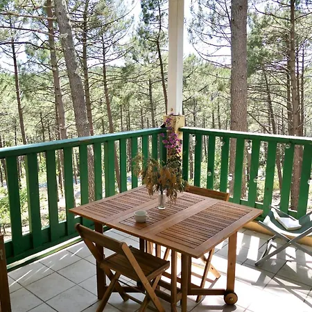 Apt Les Grands Pins, Entre Foret, Lac Et Ocean Carcans Exterior foto