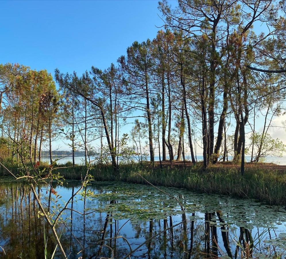 Les Grands Pins, Entre Foret, Et Ocean Apartment