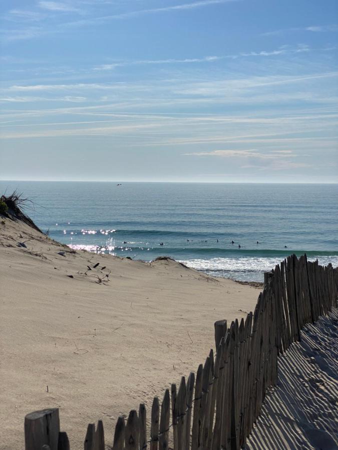 Les Grands Pins, Entre Foret, Et Ocean Apartment *