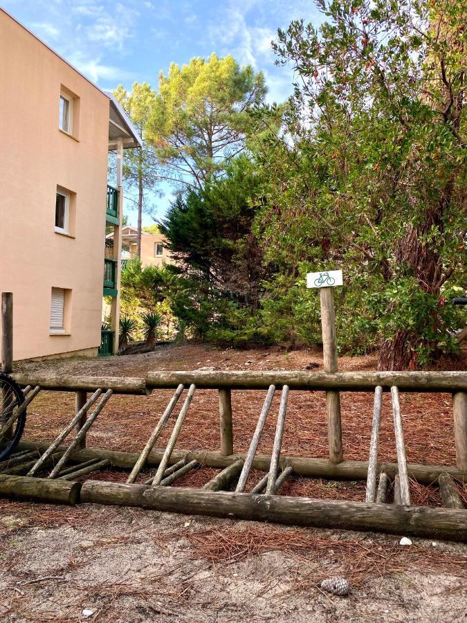 Les Grands Pins, Entre Foret, Et Ocean * Carcans