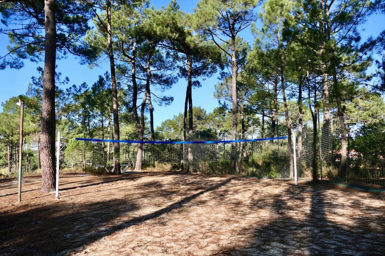 Apartment Les Grands Pins, Entre Foret, Et Ocean *