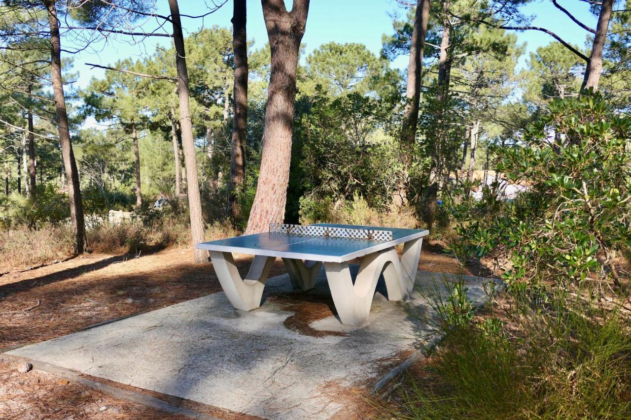 Les Grands Pins, Entre Foret, Et Ocean Carcans