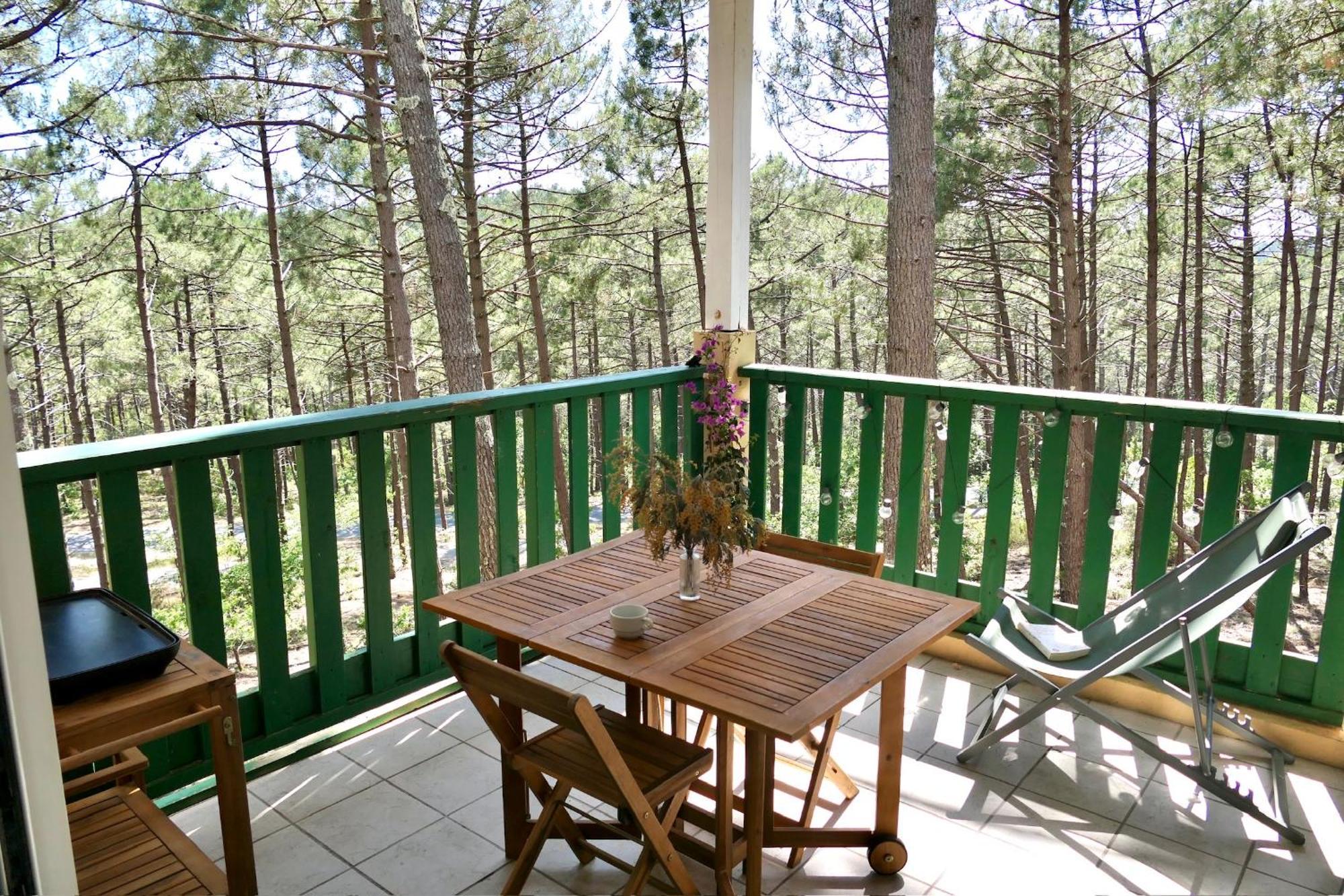 Les Grands Pins, Entre Foret, Et Ocean
