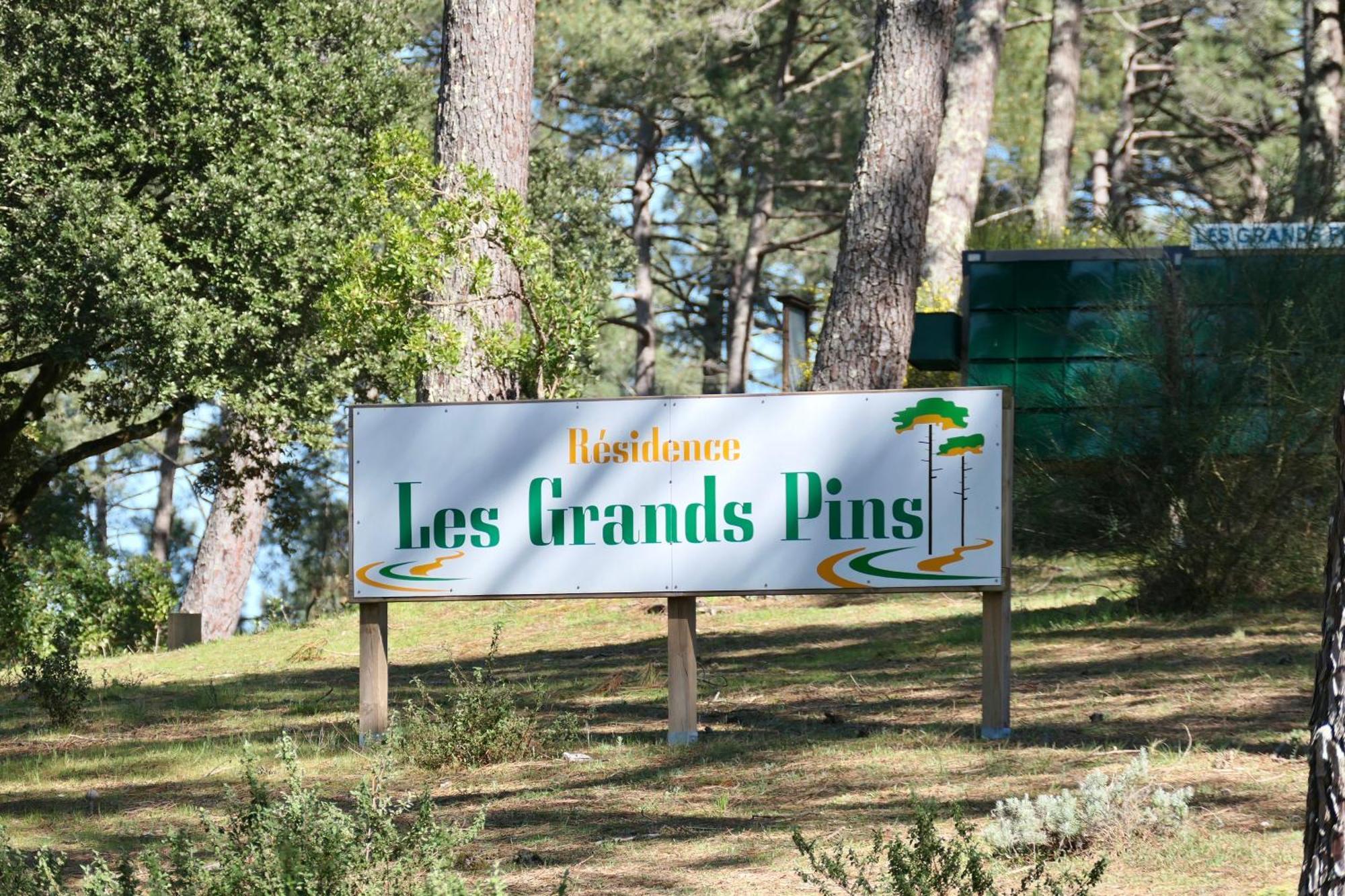 Les Grands Pins, Entre Foret, Et Ocean Carcans